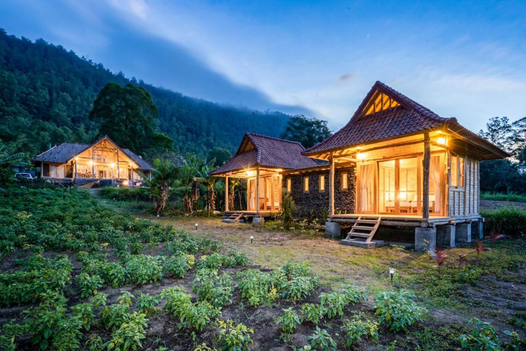 Pondok Manoka Кинтамани Экстерьер фото